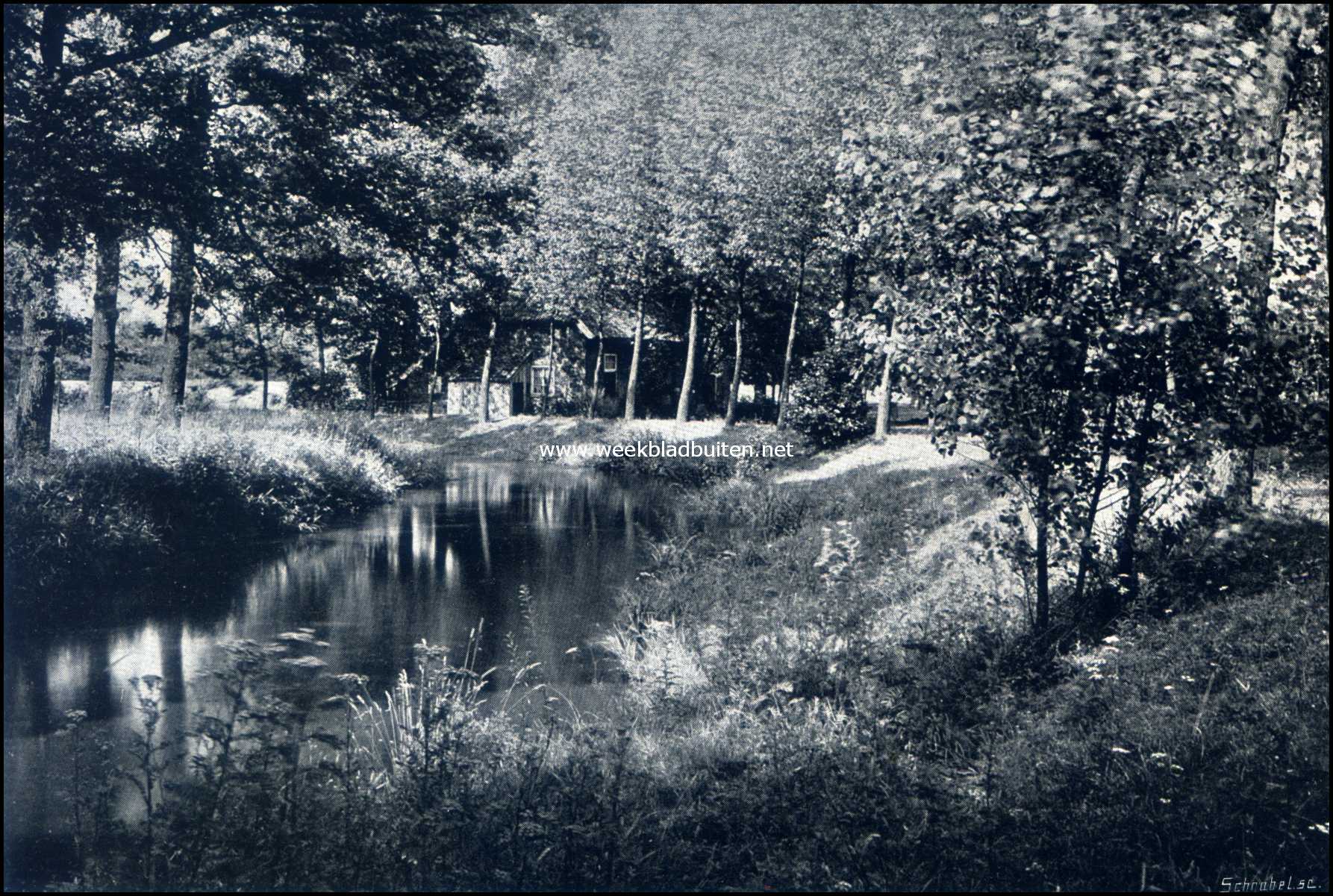 Denekamp en omgeving. Aan de Dinkel