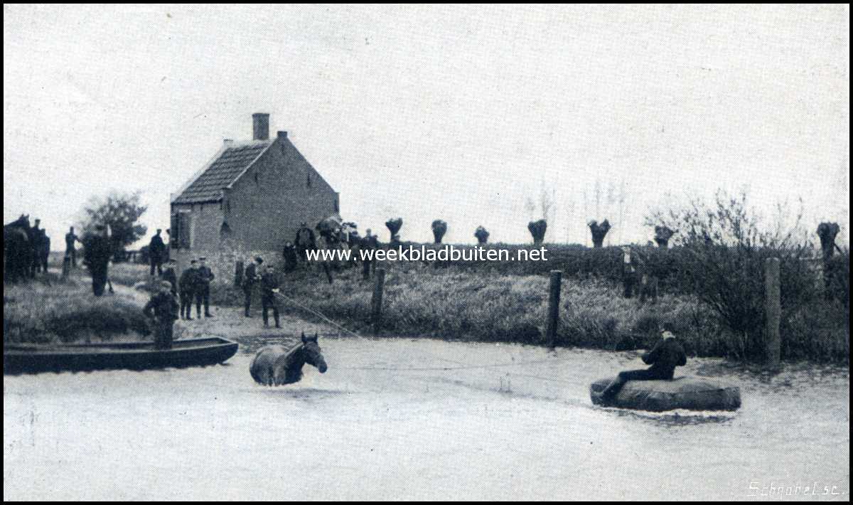 Varen met drijfzakken. Laten zwemmen der paarden