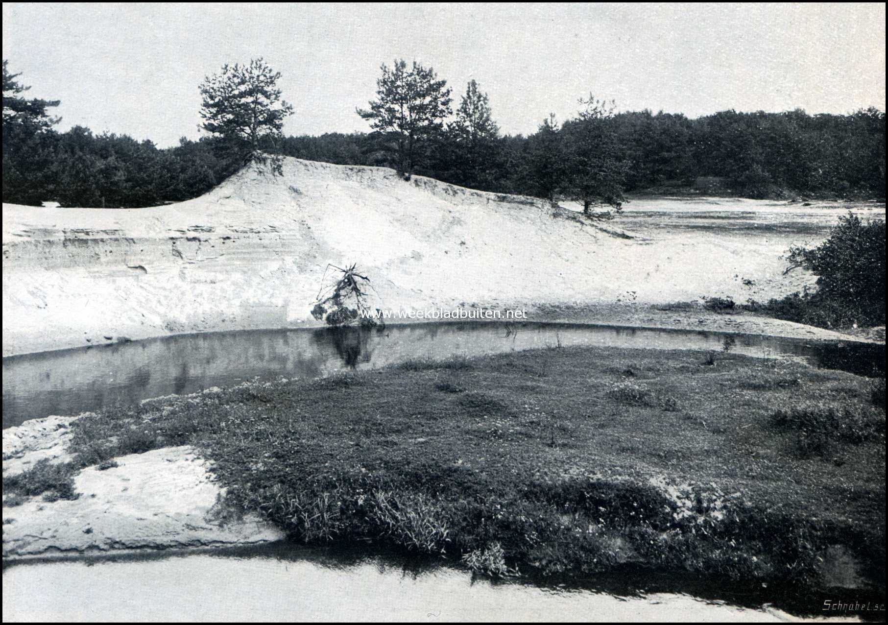 Denekamp en omgeving. Het Lutterzand 1
