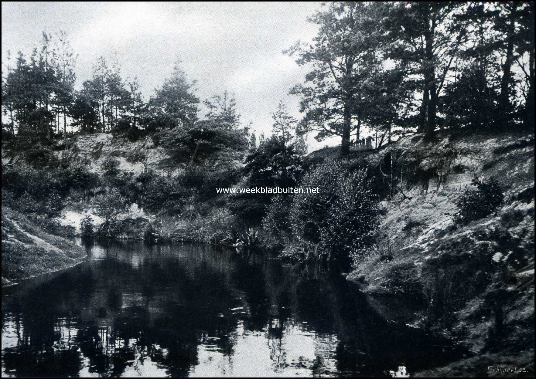Denekamp en omgeving. In het Lutterzand