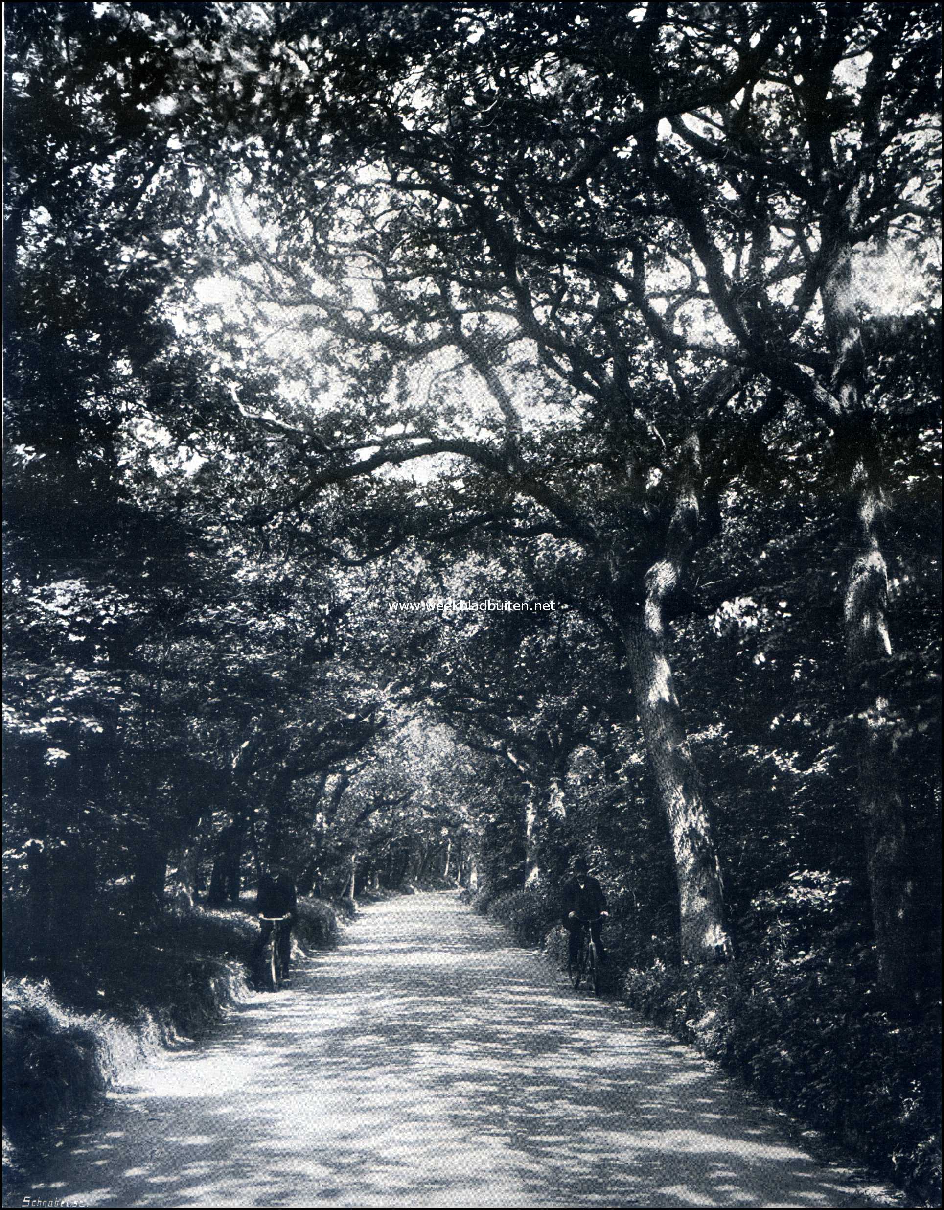De Oud-Wassenaarsche Weg