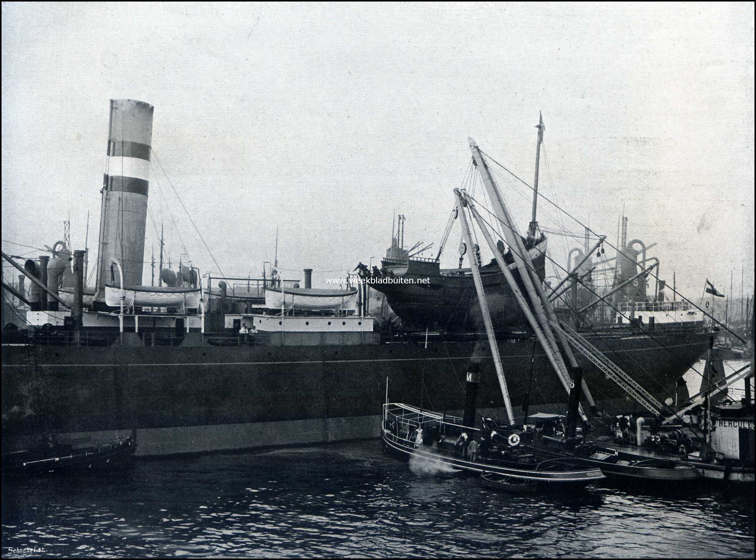 Hudson's scheepje 