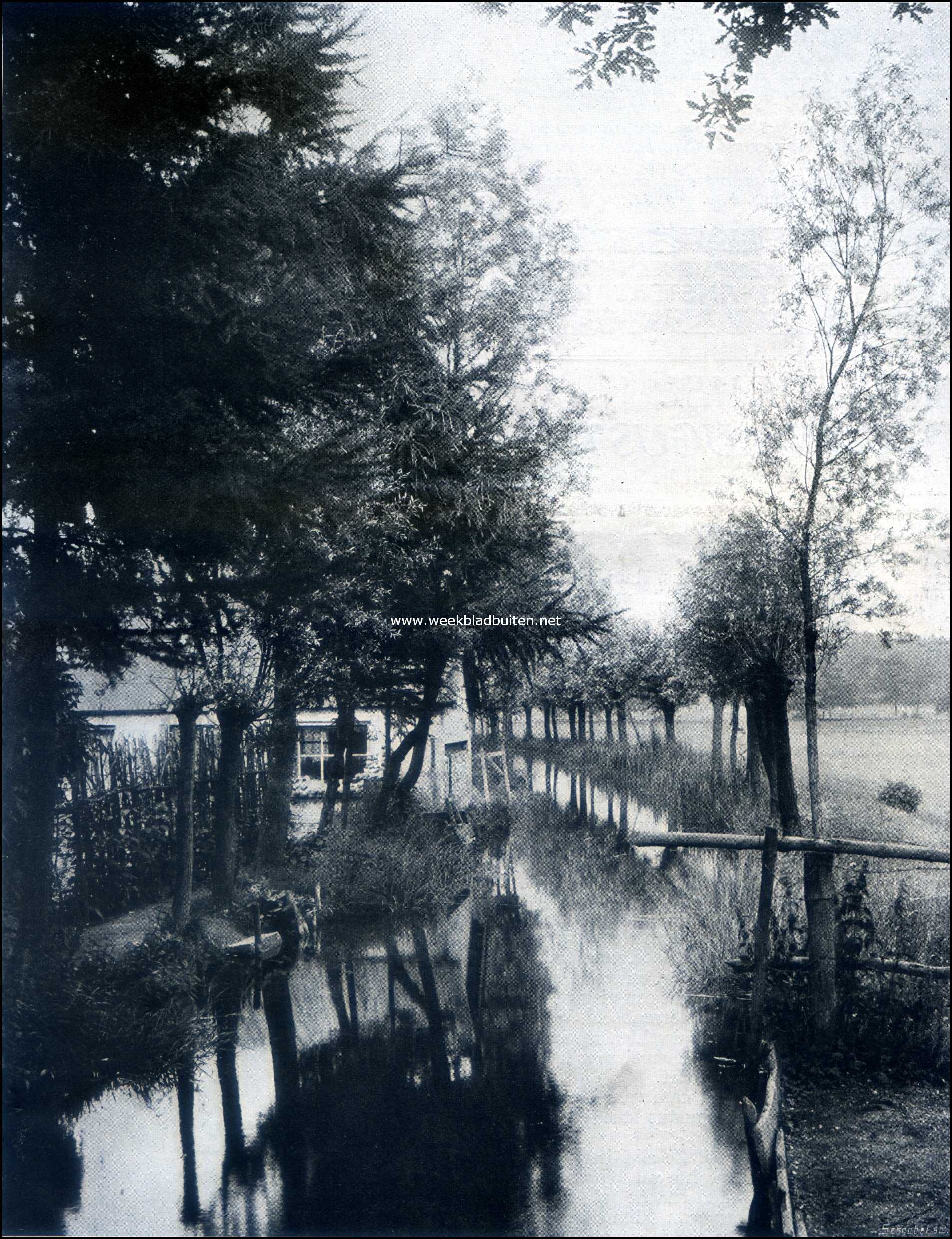 Een beekje te Renkum