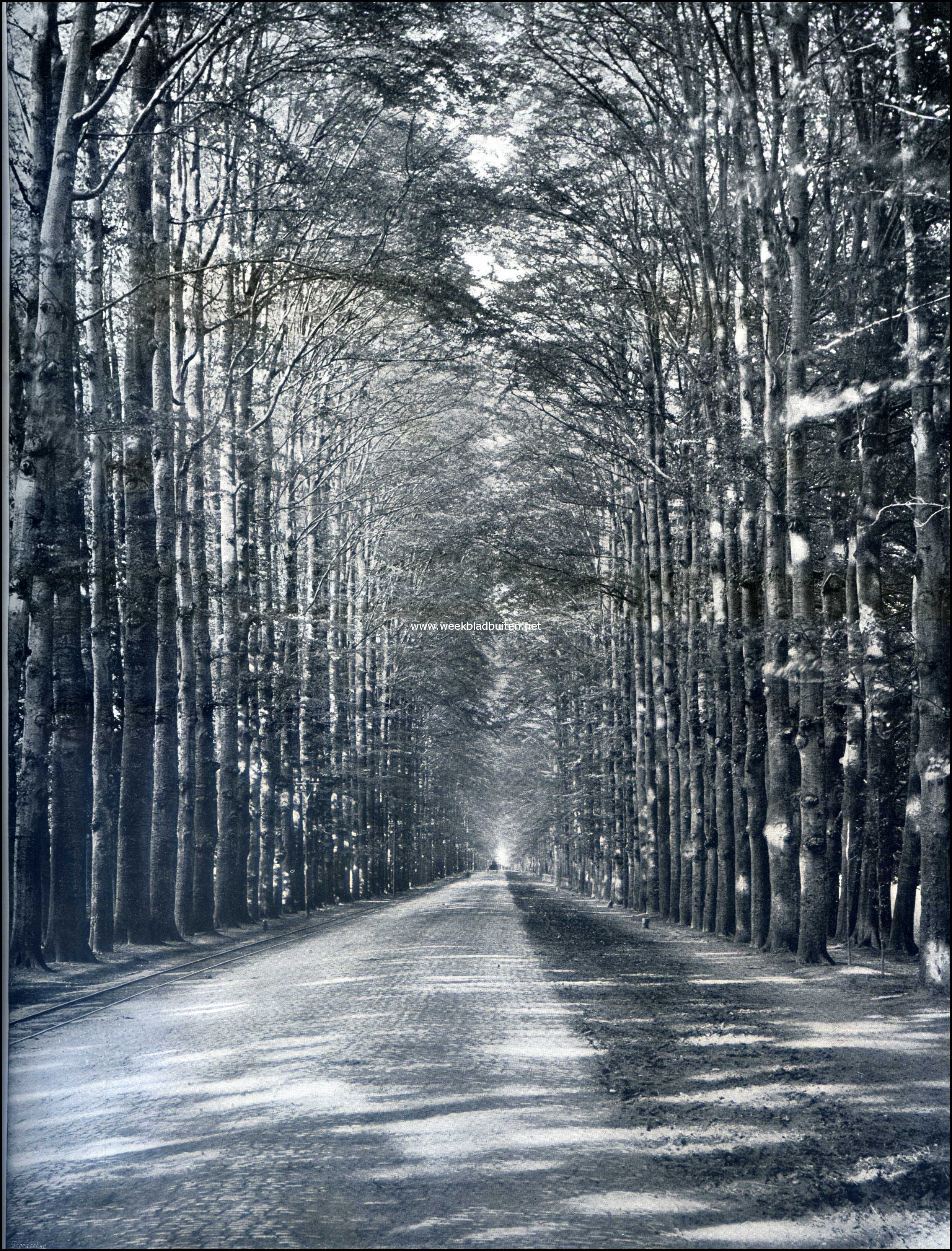 De Middachter Allee