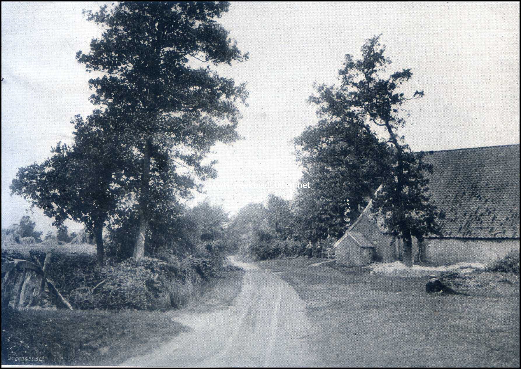 De oude heerlijkheid Westerwolde. Westerwolde. Landweg door een gehucht