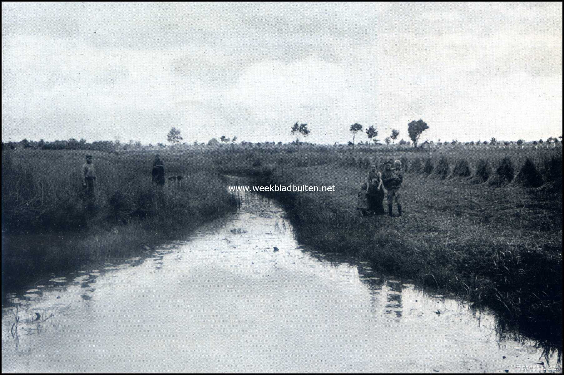 De oude heerlijkheid Westerwolde. Westerwolde. Bij de Mussel