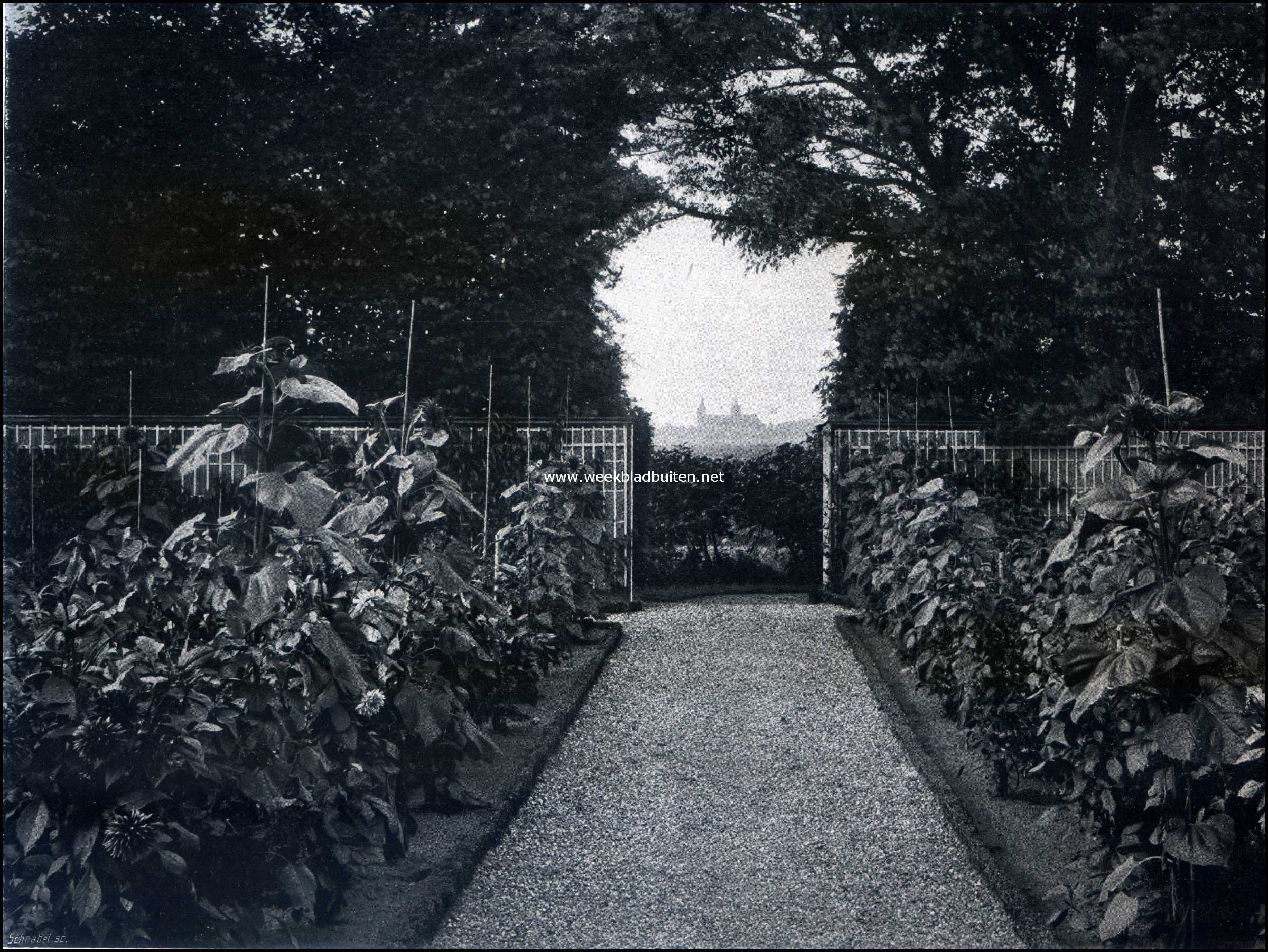 Gezicht van den tuin van Huize Muiserick uit op de St. Janskerk te 's-Hertogenbosch