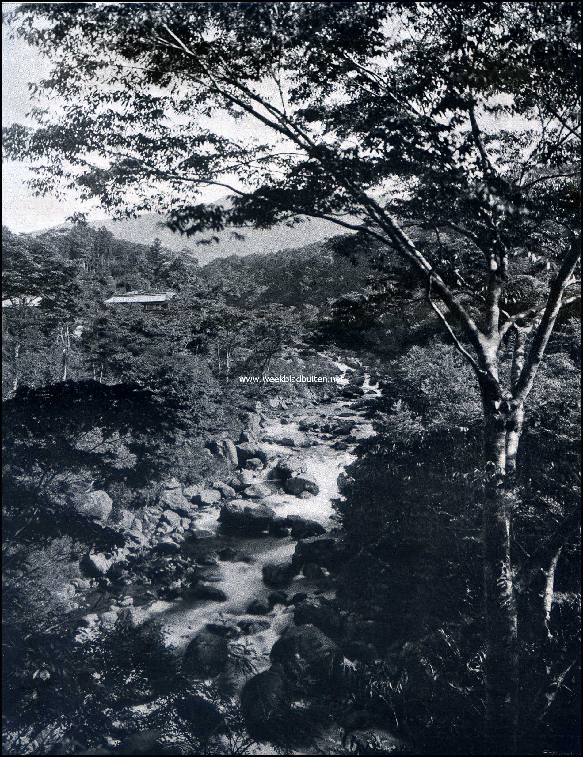 Bergstroompje bij het dorp Miyanoshita, Japan