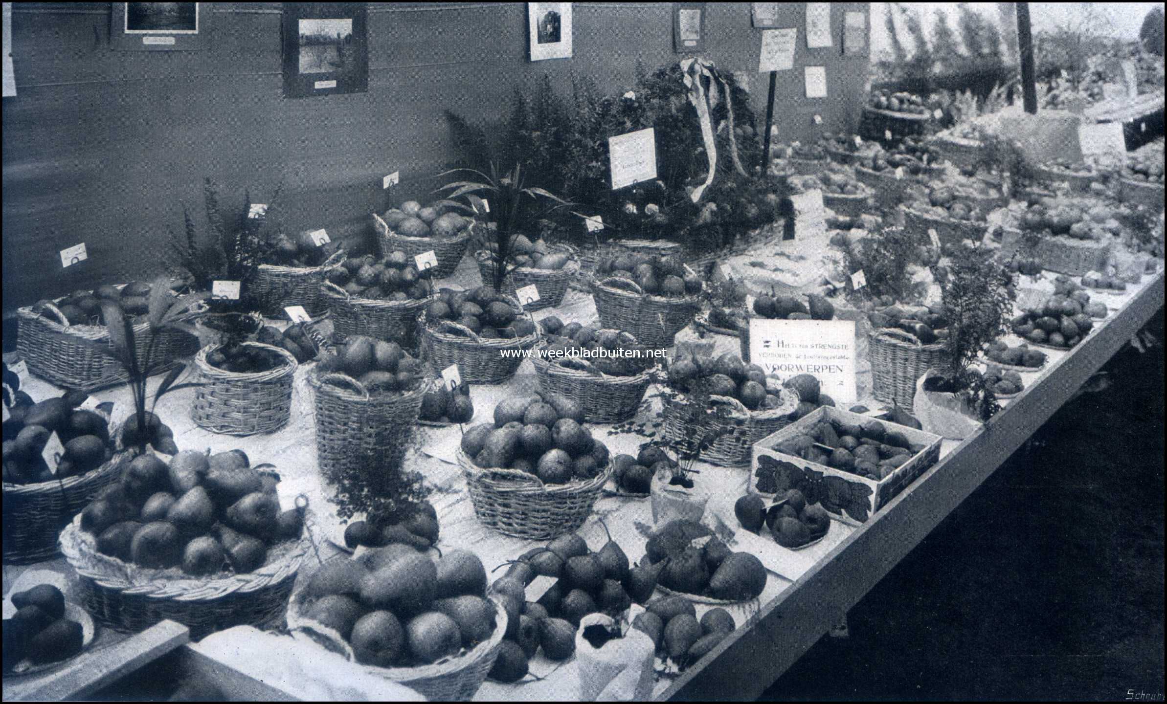 De groote tuinbouwtentoonstelling te Zeist. Inzending fruit van de Veilings-Vereeniging Geldermalsen en Omstreken