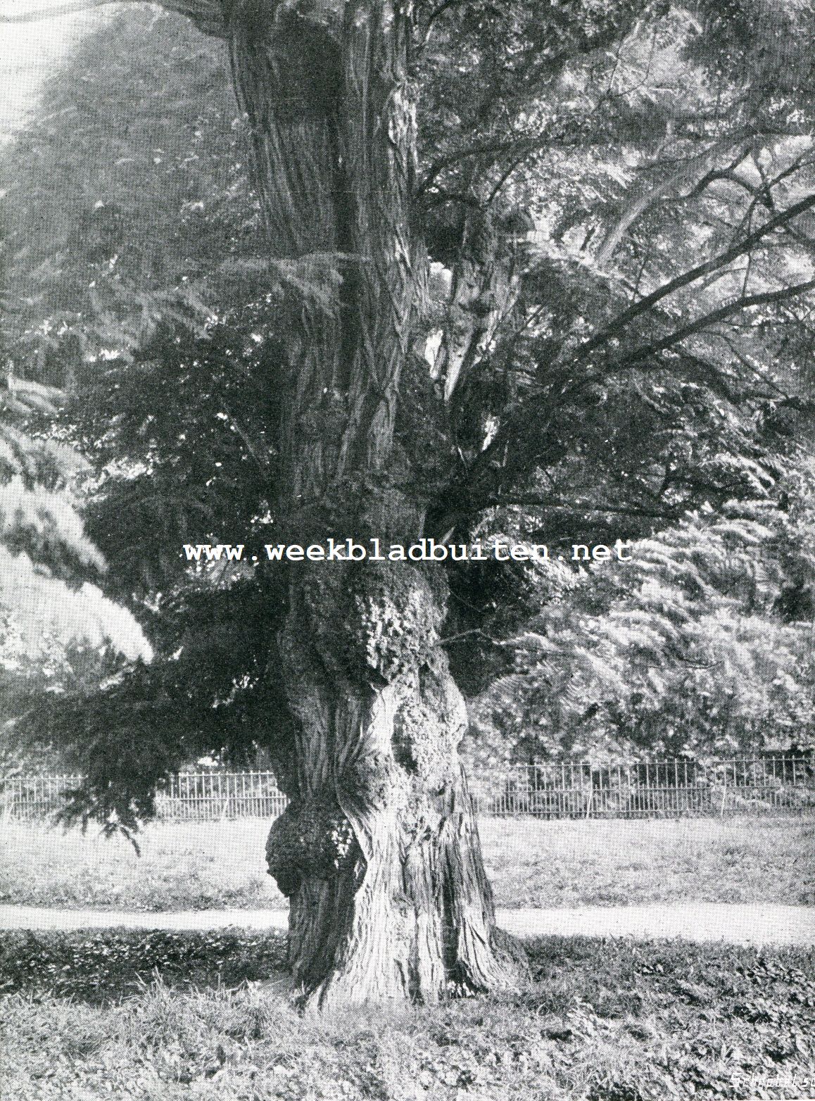De Doorwerth. In den tuin van het Kasteel de Doorwerth