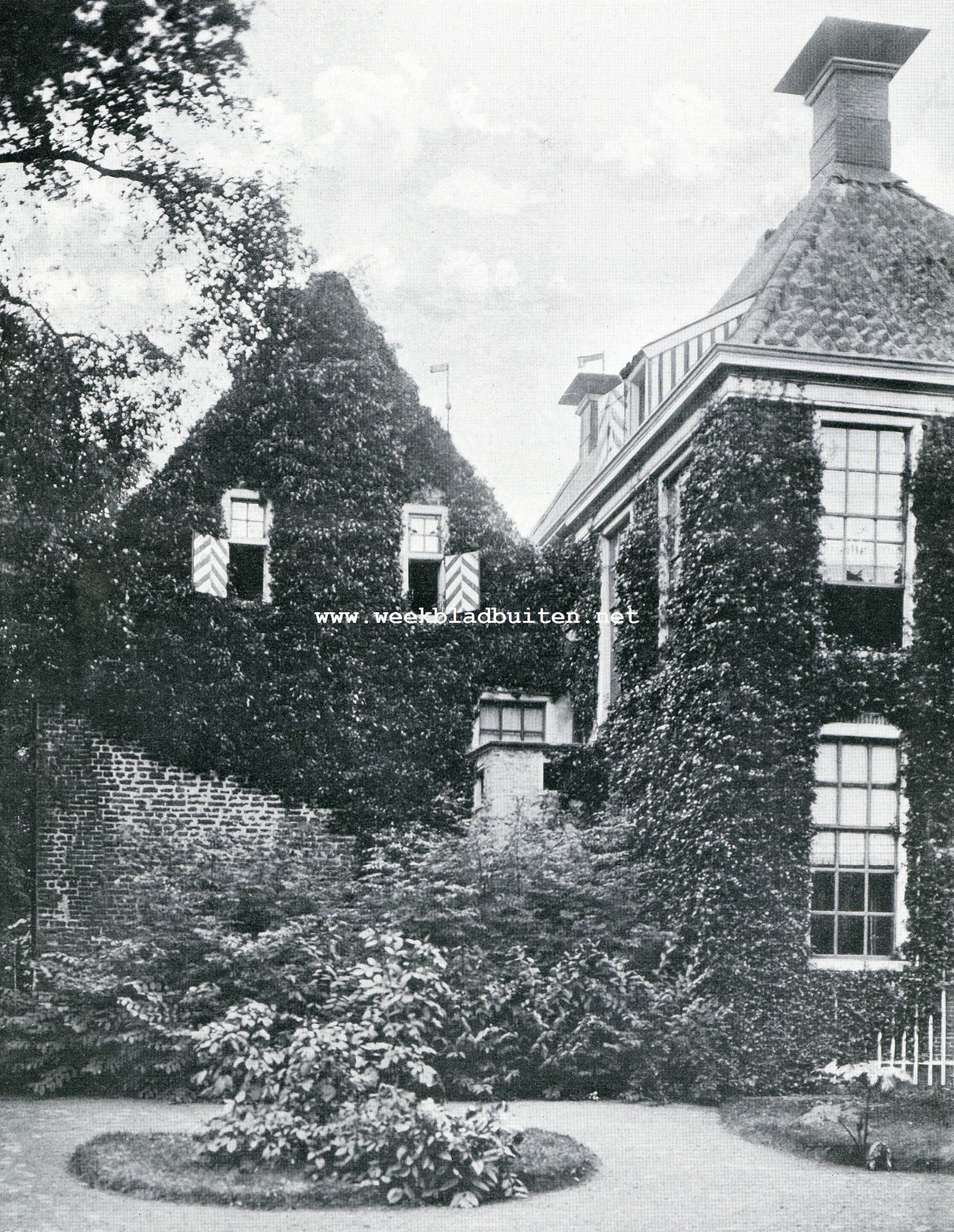 De Wedderburcht. Begroeide achtergevel