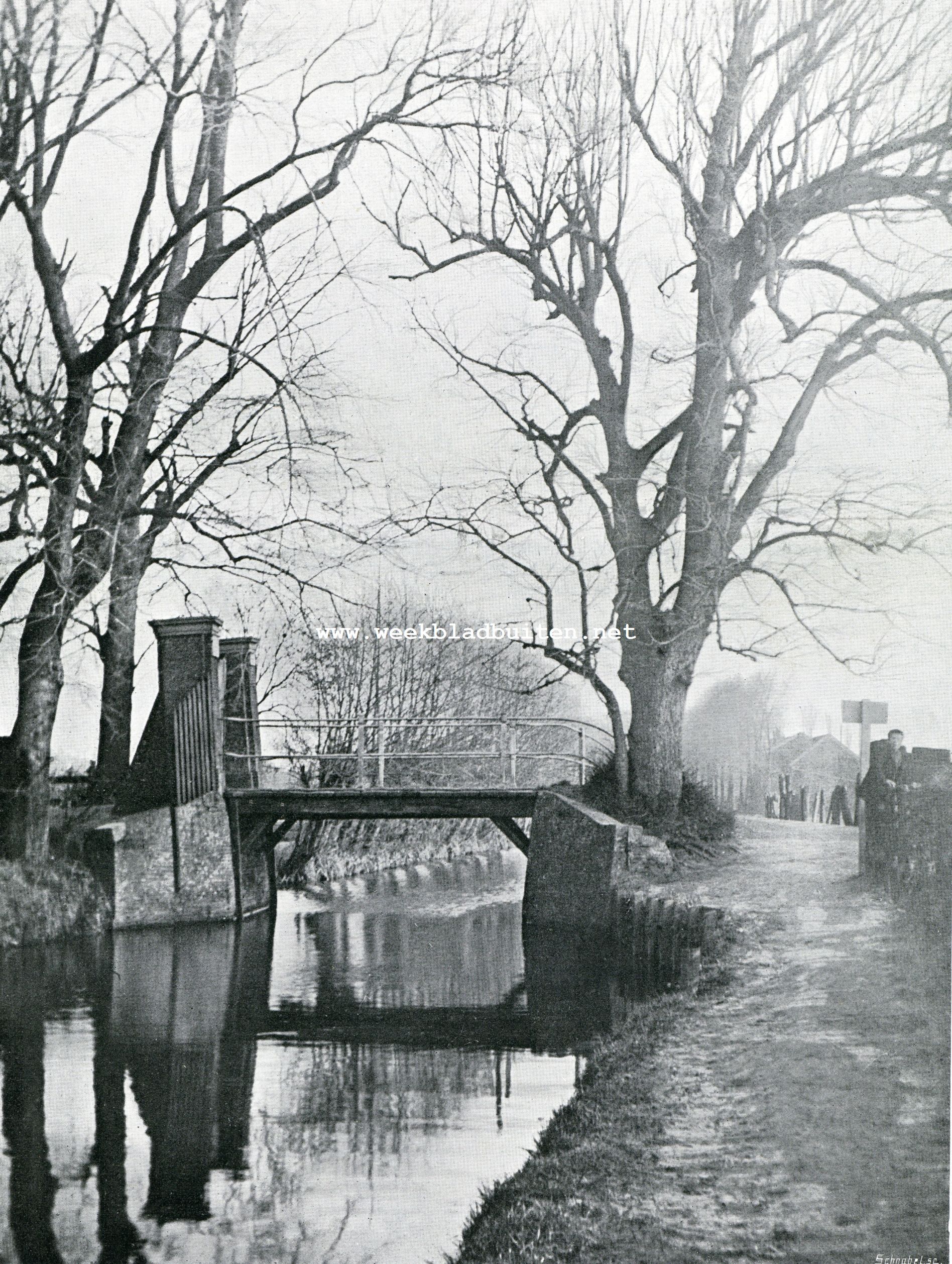 Brugje naar 't bosch in late herfst