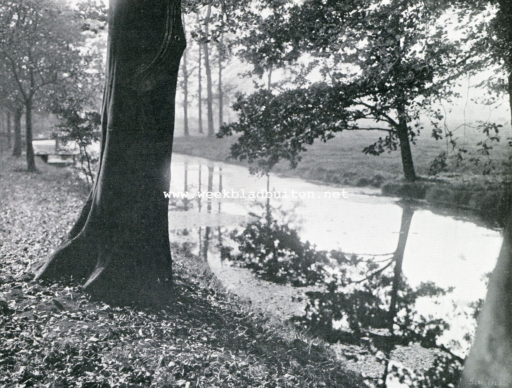 Herfstpeinzingen. Sloot langs den boschzoom