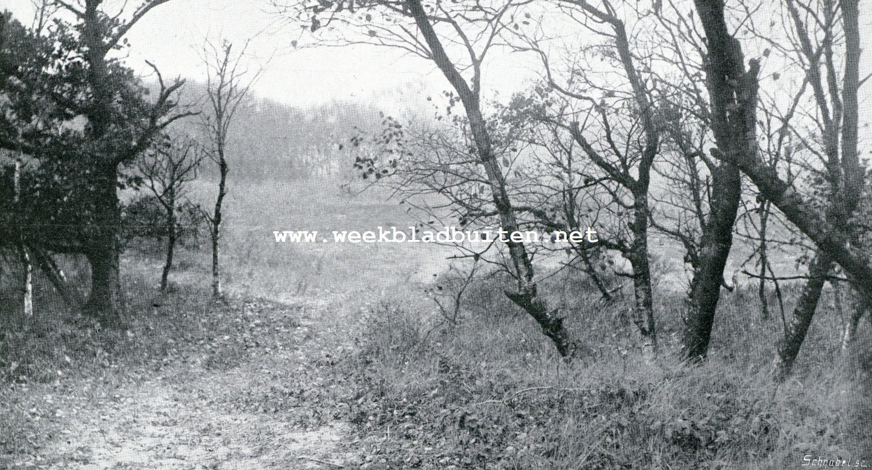 Herfstpeinzingen. Boschvijvertje
