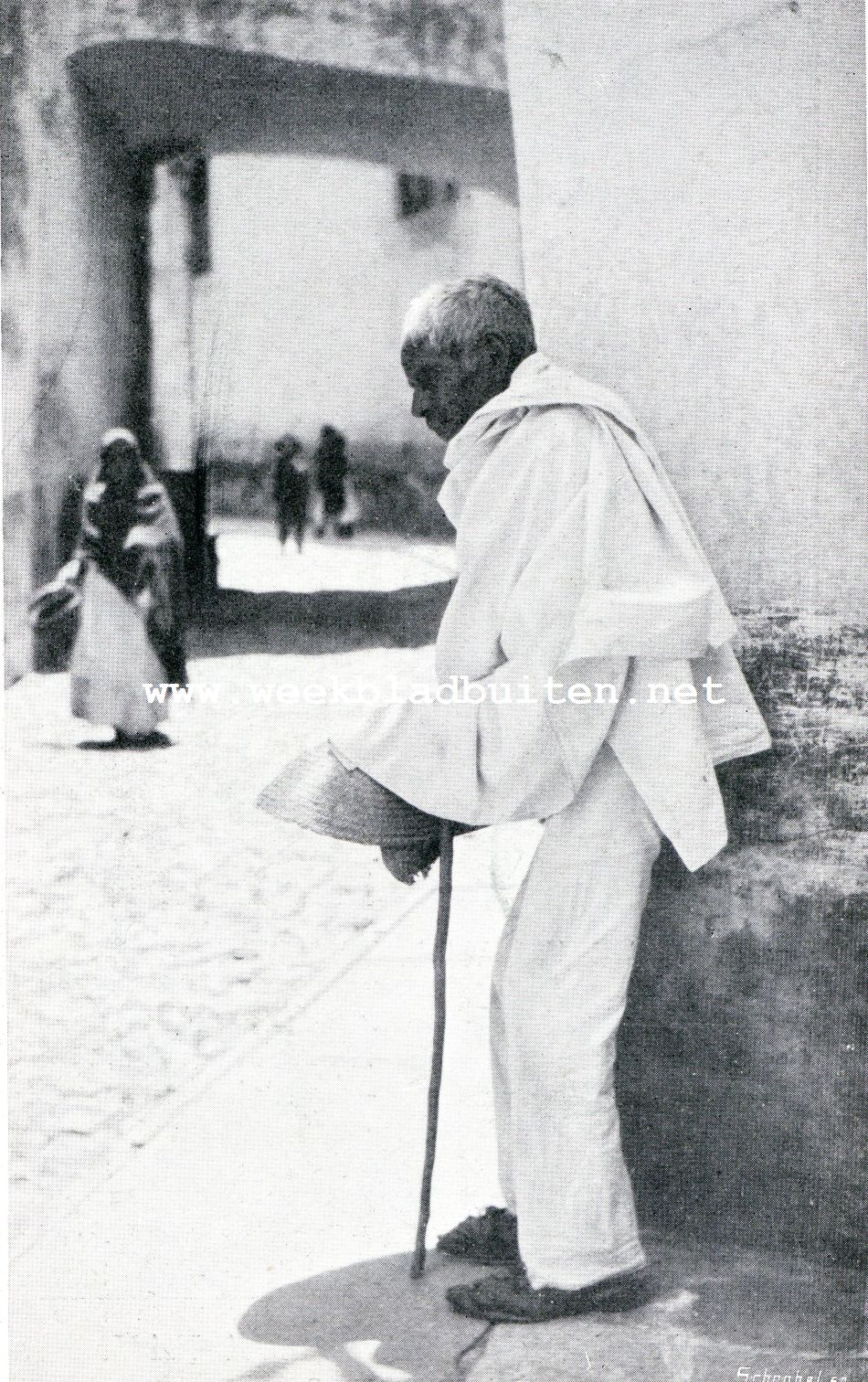 Nuestra Senora de Guadelupe. . Por el Amor de Dios!?!.