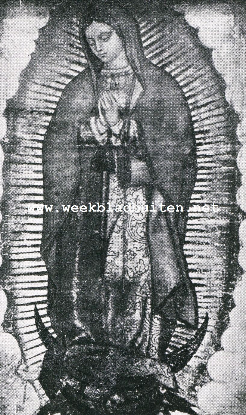 Nuestra Senora de Guadelupe. Beeltenis op de tilma van Juan Diego
