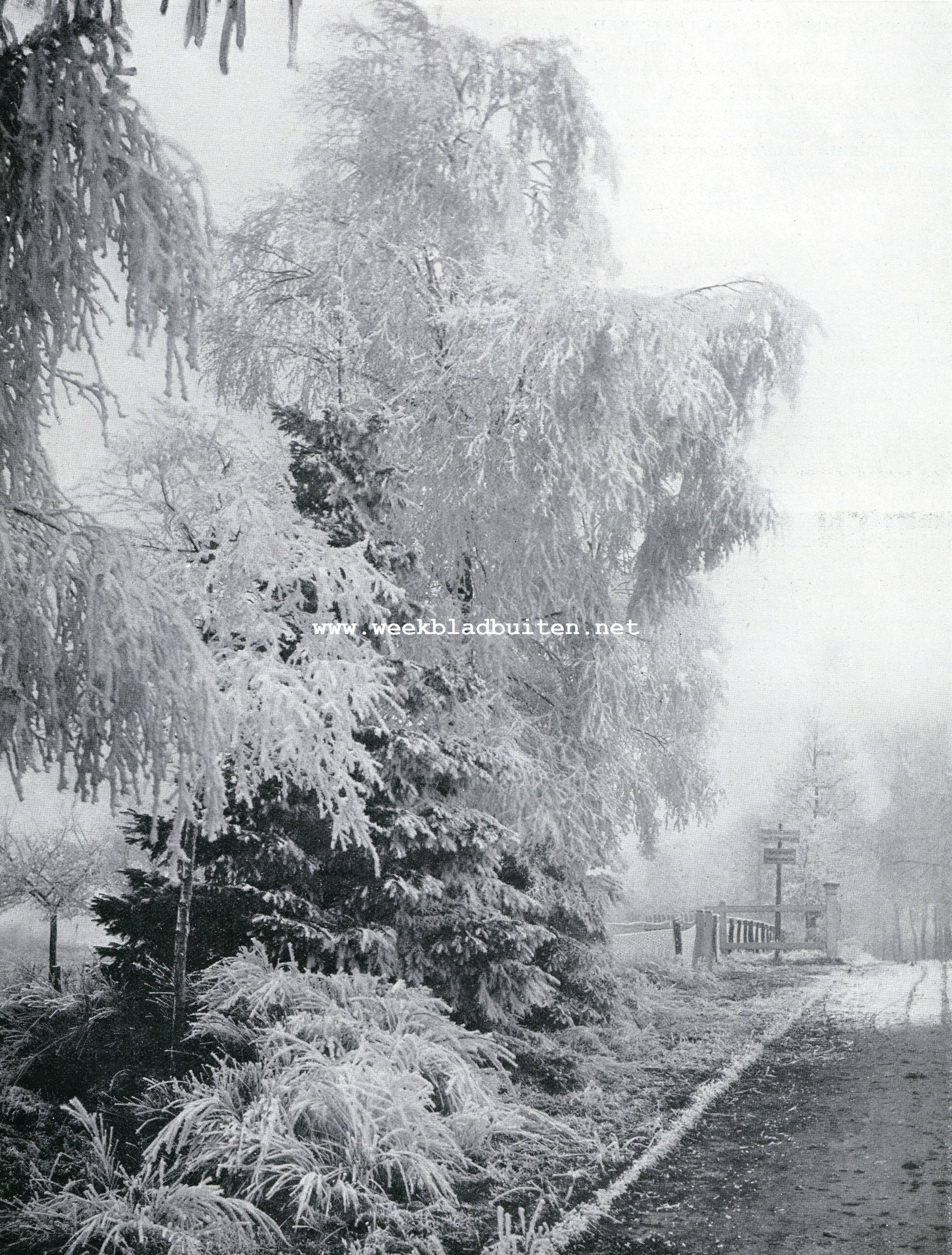 DE Bakenbergsche Weg te Arnhem in wintertooi