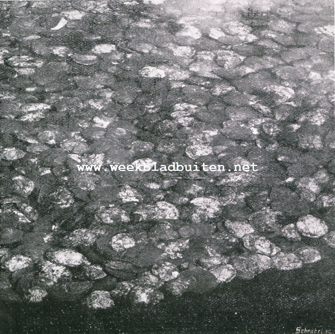 Oestercultuur. Oesters in den put onder stilstaand water, bij ebbe