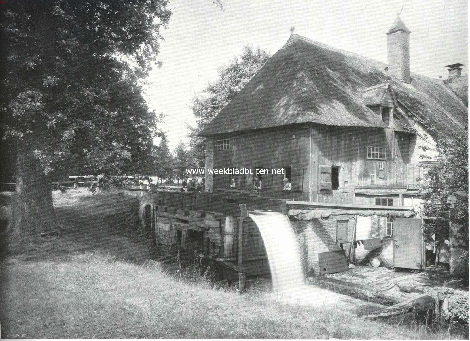 De watermolen bij den Cannenburch