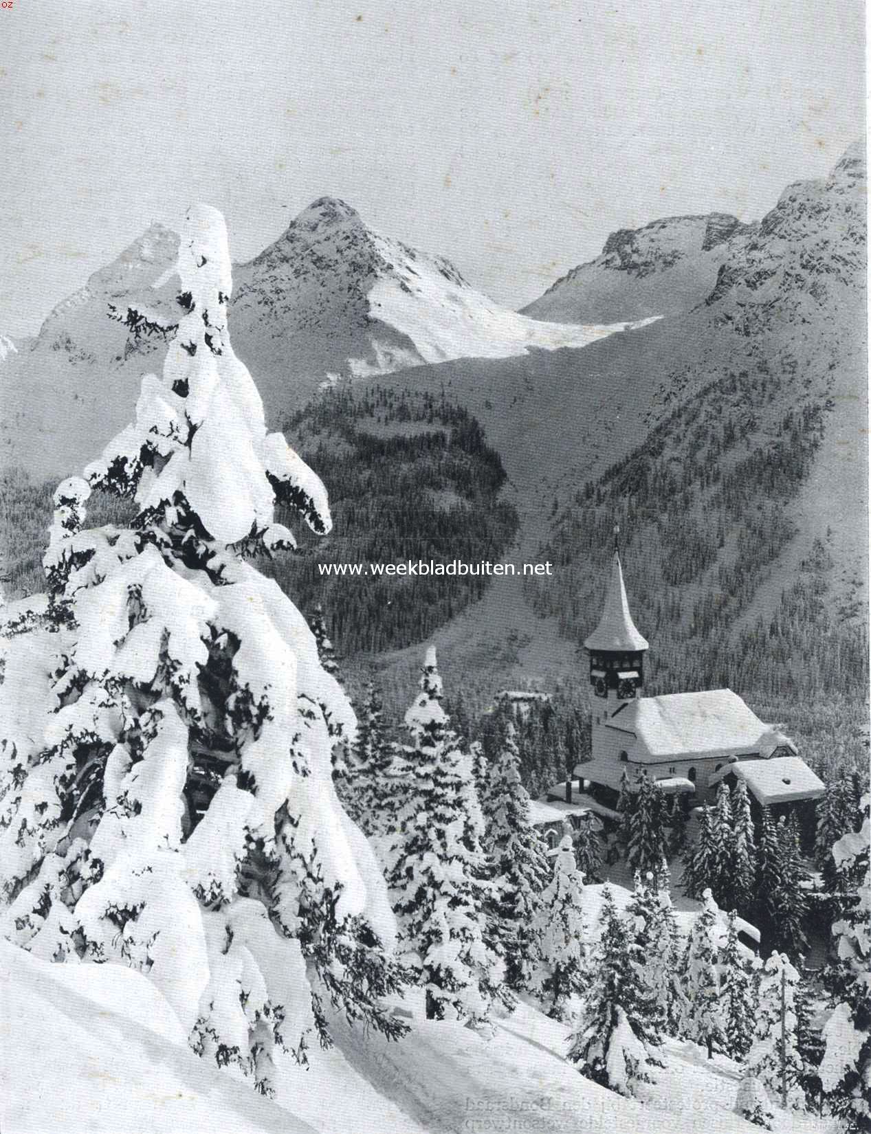 Arosa. Bosch en bergen