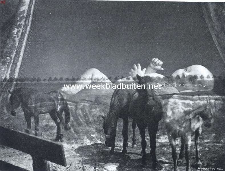 Jack staat verwonderd