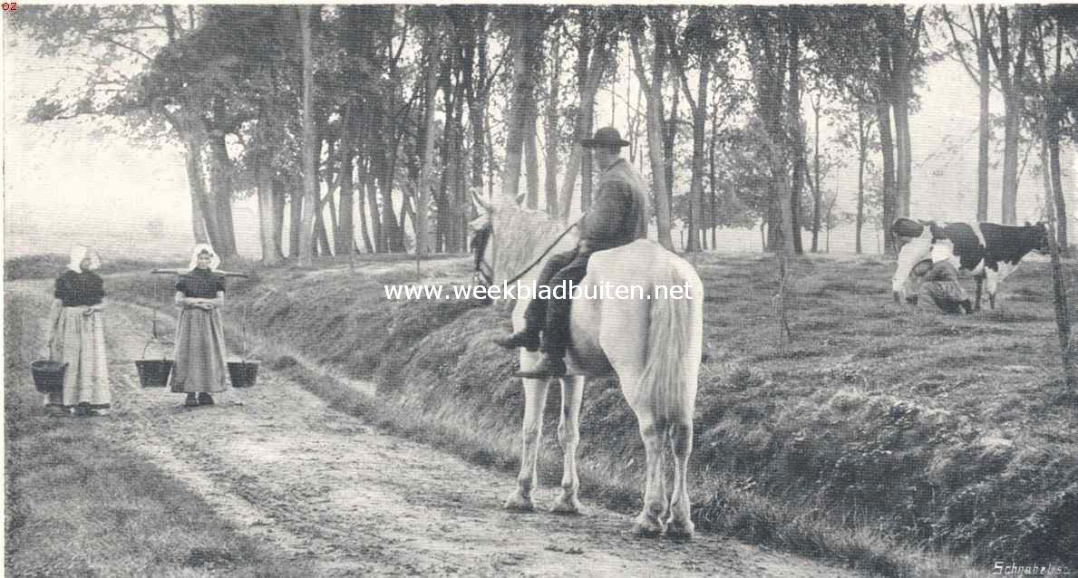 Zeeuwsch landschap