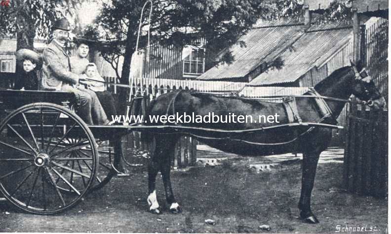 Vaders trots