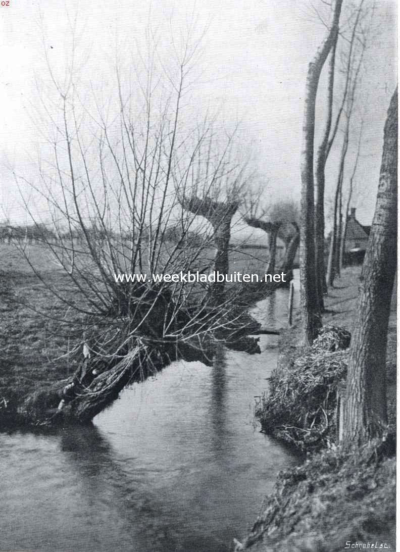 Wilgensloot in de Betuwe