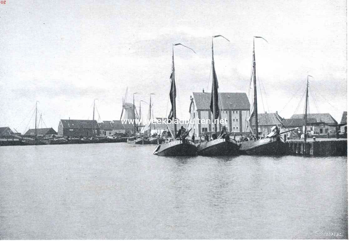 In de haven van Texel