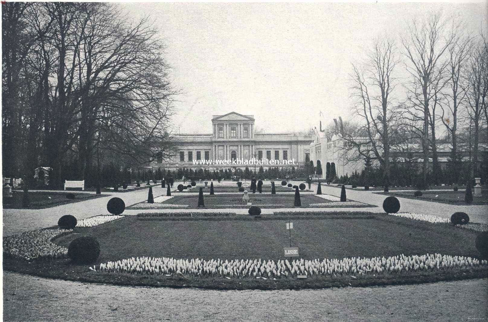 Nationale Bloemententoonstelling te Haarlem. II. De eerste tijdelijke. Collectieve inzending crocussen van de afdeeling Lisse