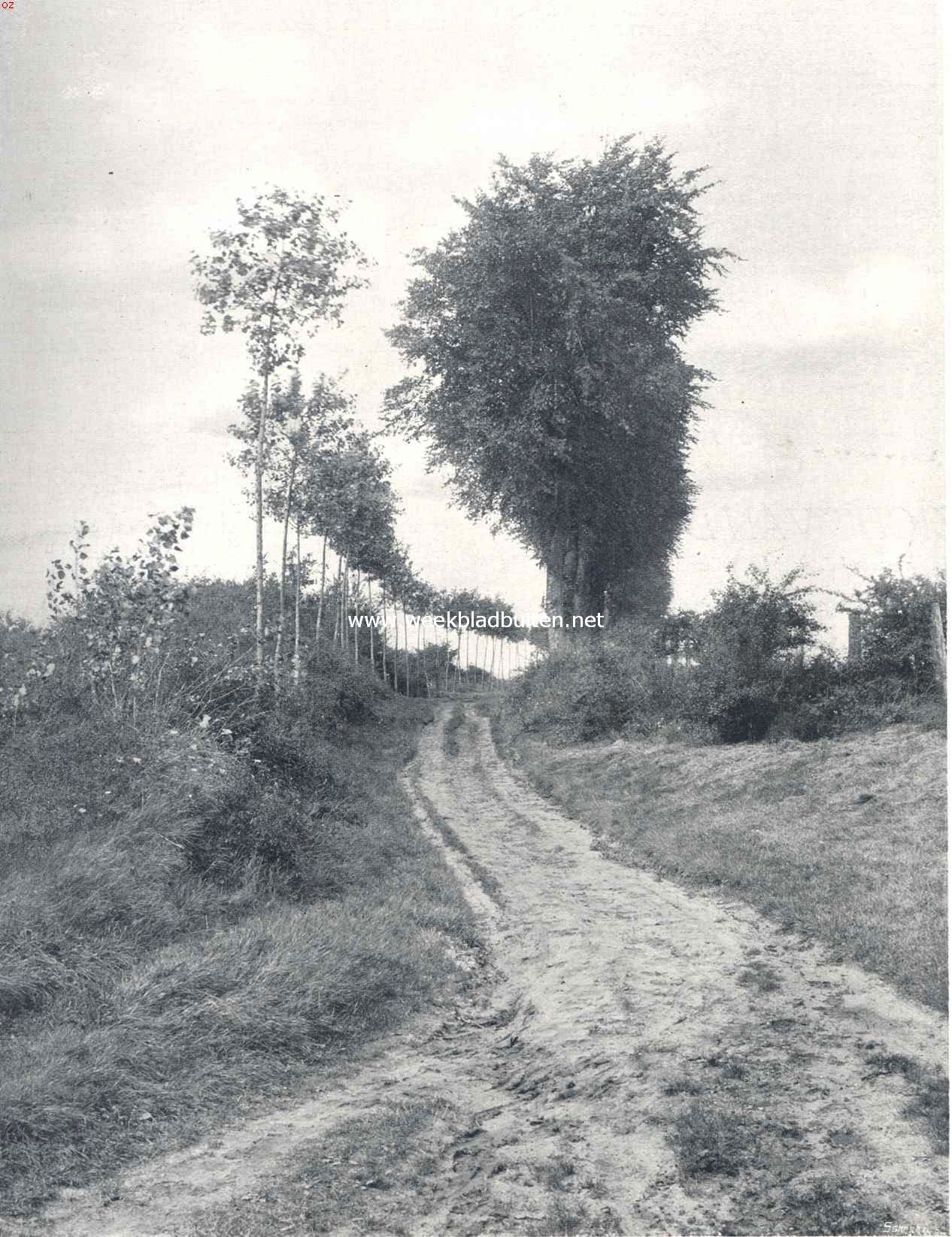 Omgeving van Gennep. Weg naar de rune