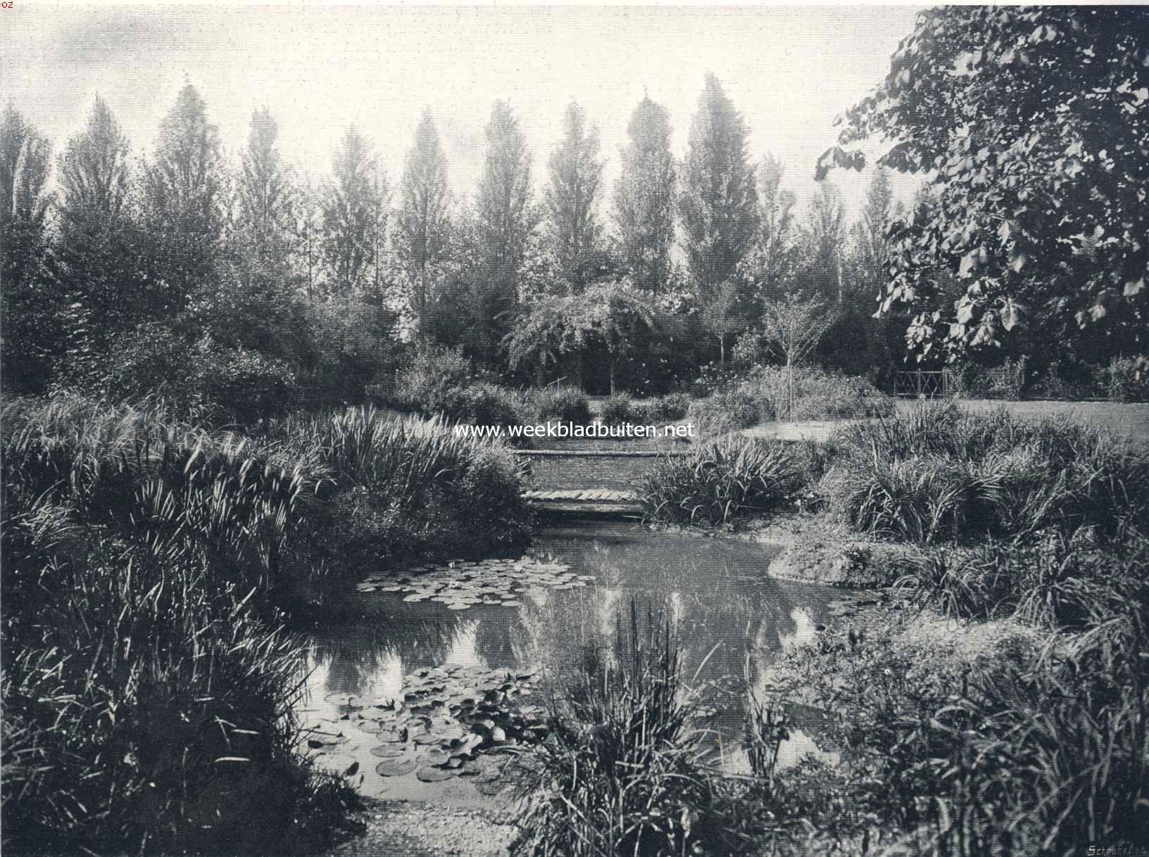 Tuinen met water. Vijver te Hedoor. Bloemen zijn hier geen hoofdzaak, maar de waterlelies lijken steeds mooier bij de wisseling van licht