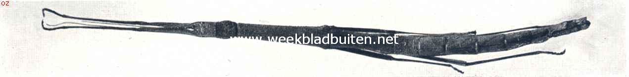 Wandelende tak. (Dixippus Inerosus)