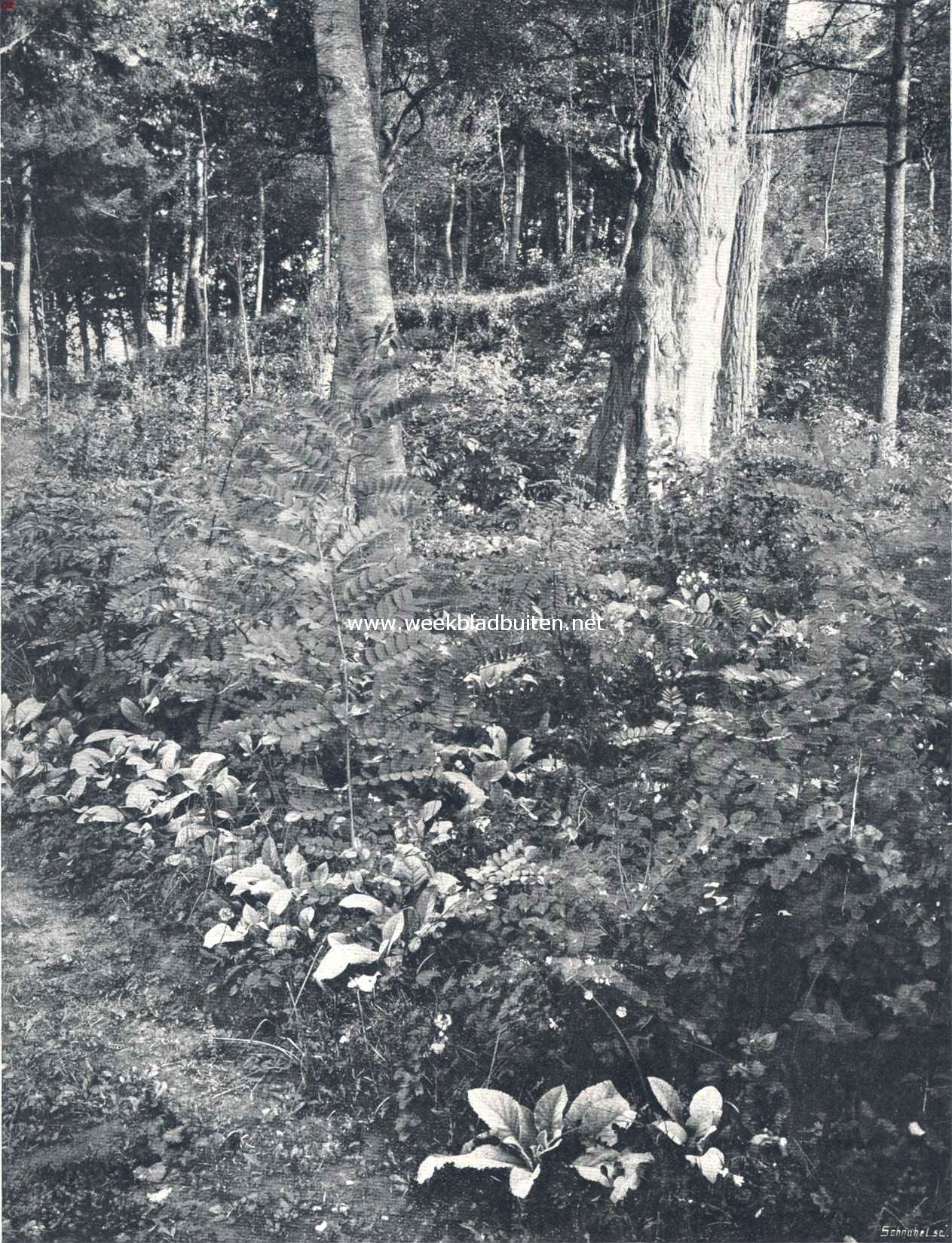 Bij de rune van Meerum (L.)