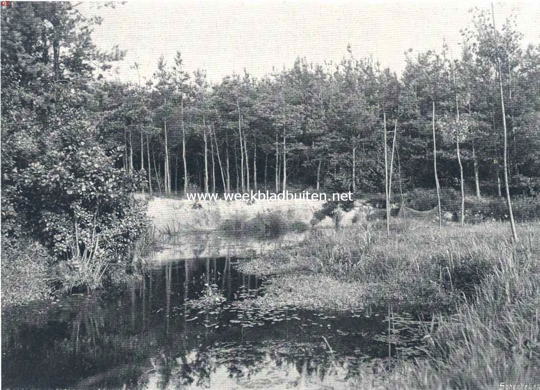 Oisterwijk. Tweede Stroom