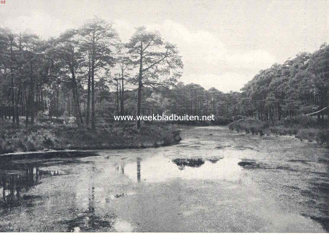 Oisterwijk. Van Esscheveen