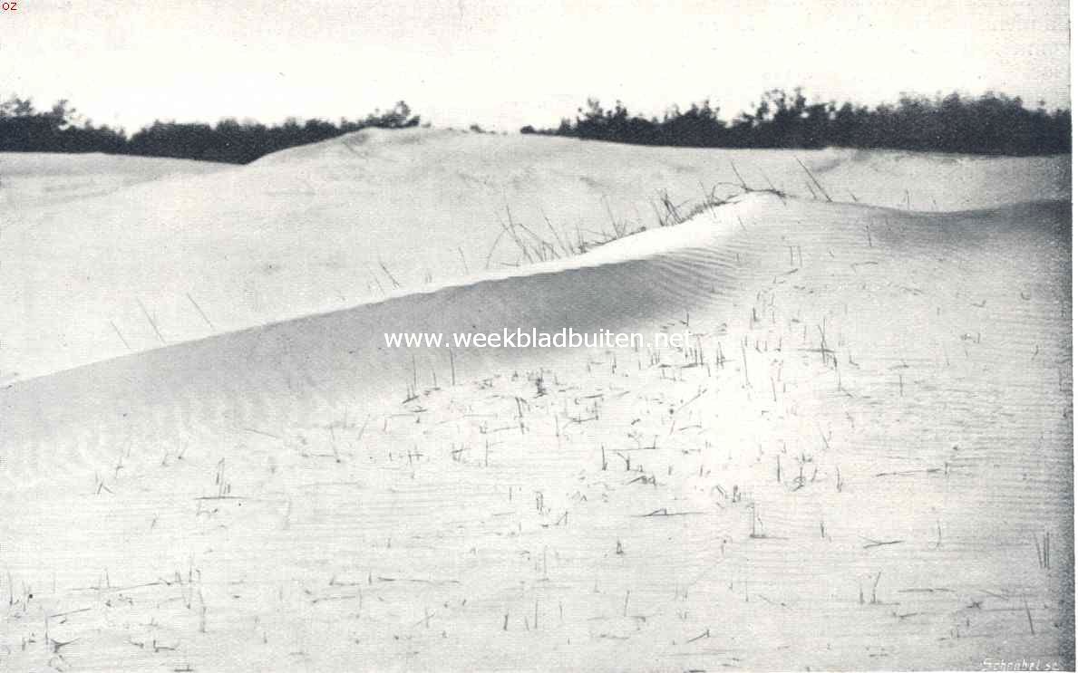 Zandverstuivingen. Opgestoven zand