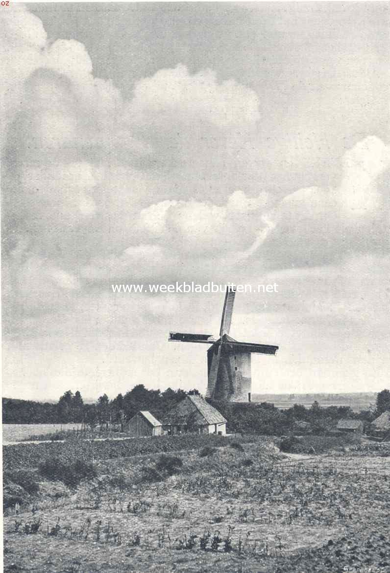 Montferland. Molen van Zeddam