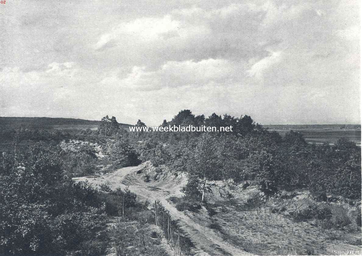 Montferland. Uitzicht van den molen te Zeddam