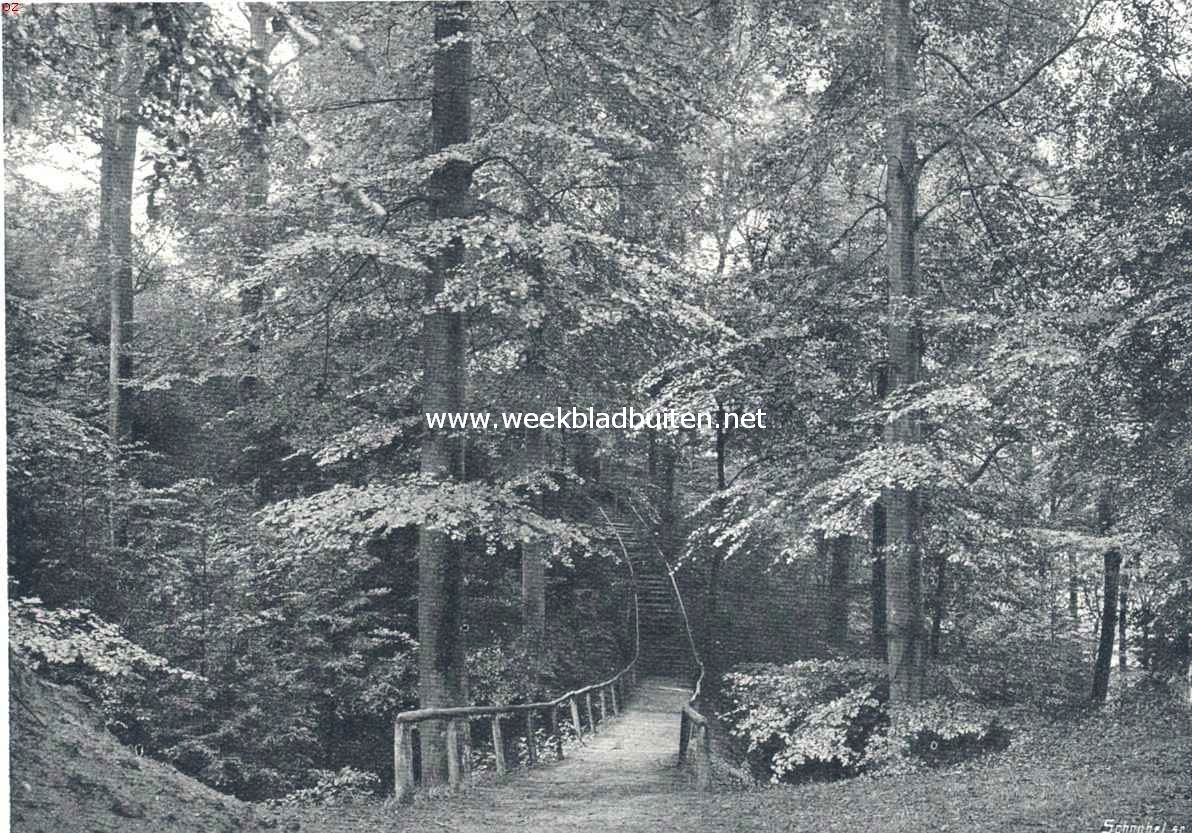 Montferland. Rustieke trap op Montferland