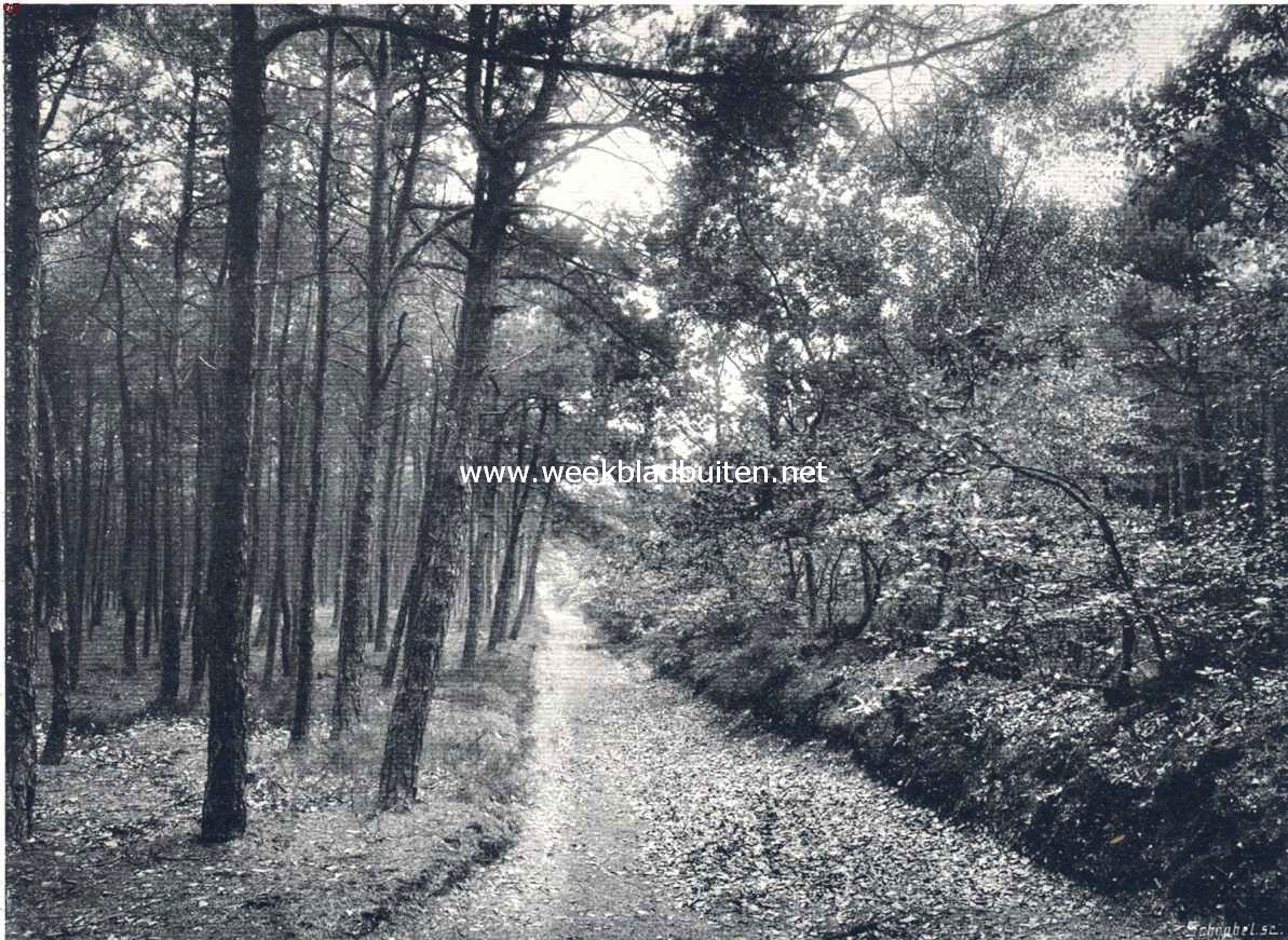 Rond Oranje-Nassau-Oord. Wageningsche Berg