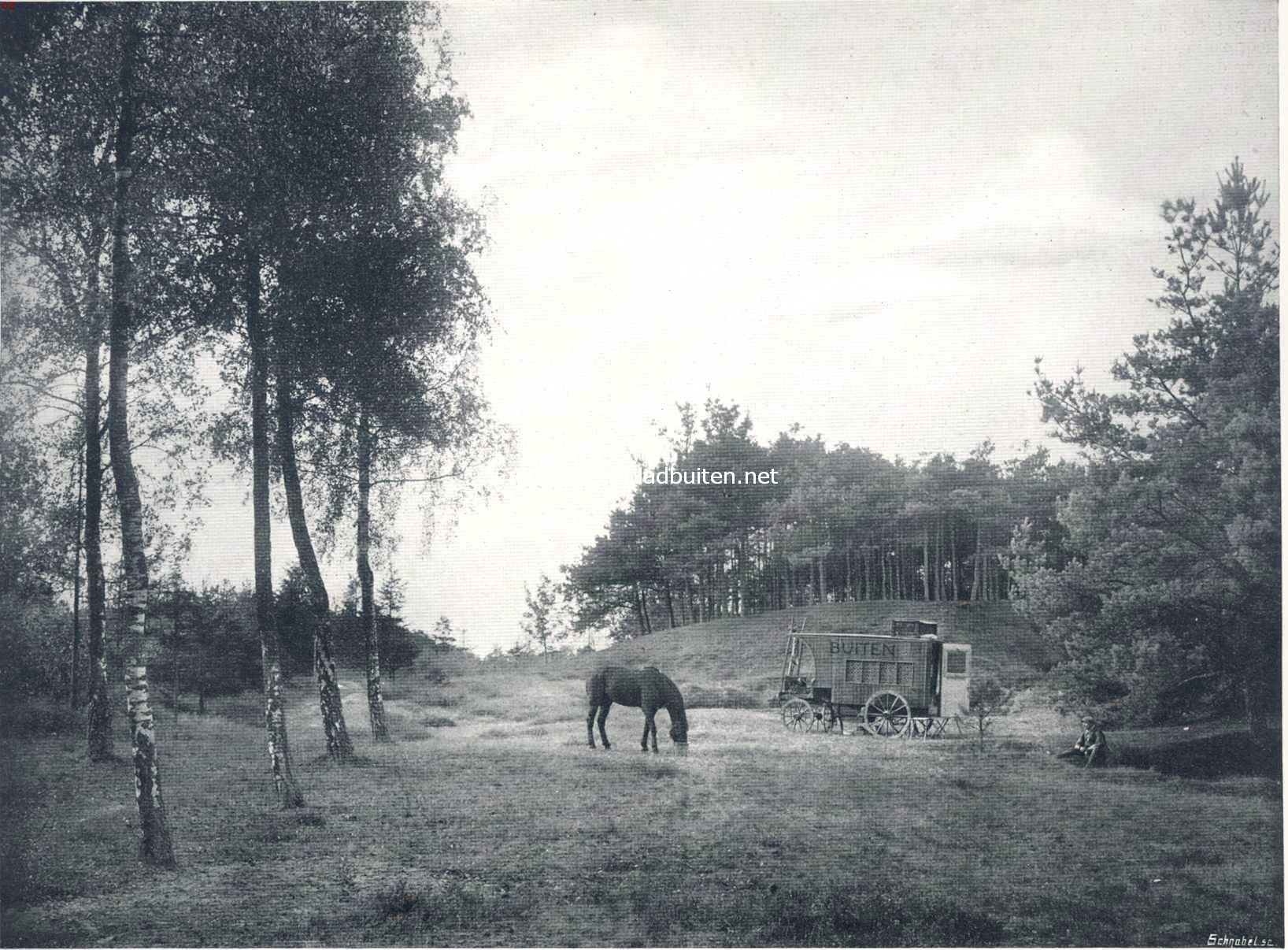 In een woonwagen door Nederland. Kampplaats in Noord-Limburg