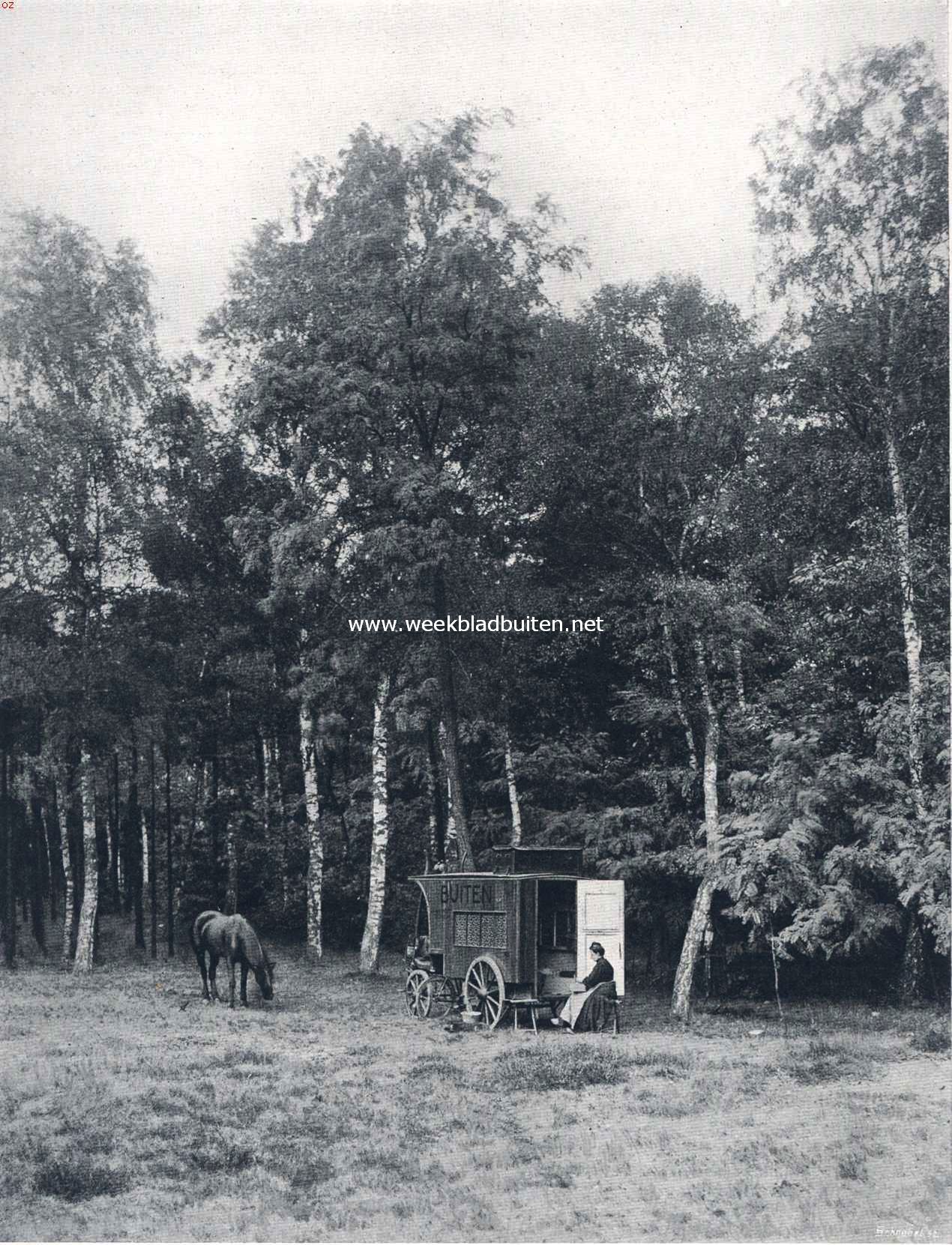 In een woonwagen door Nederland. Een open plek in het bosch