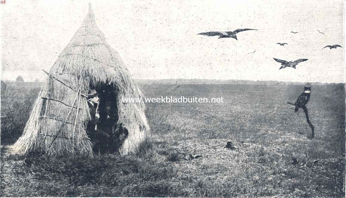 De kraaienhut. Het wachten op edel wild