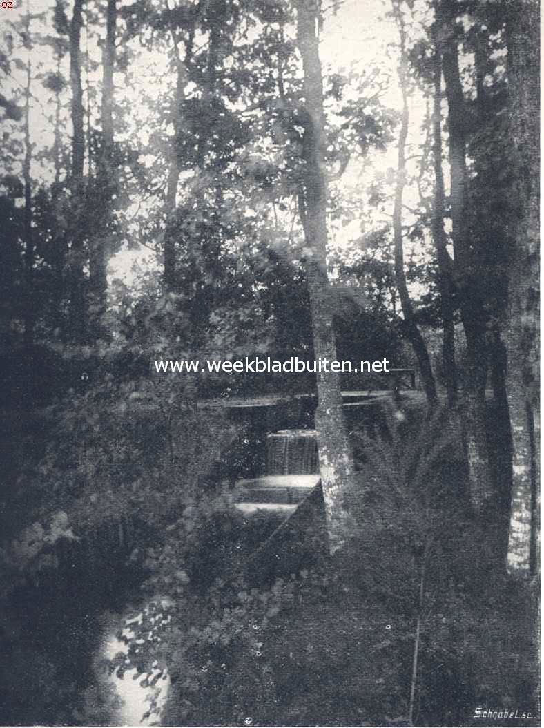 De waterval in het Leuvenemsche bosch