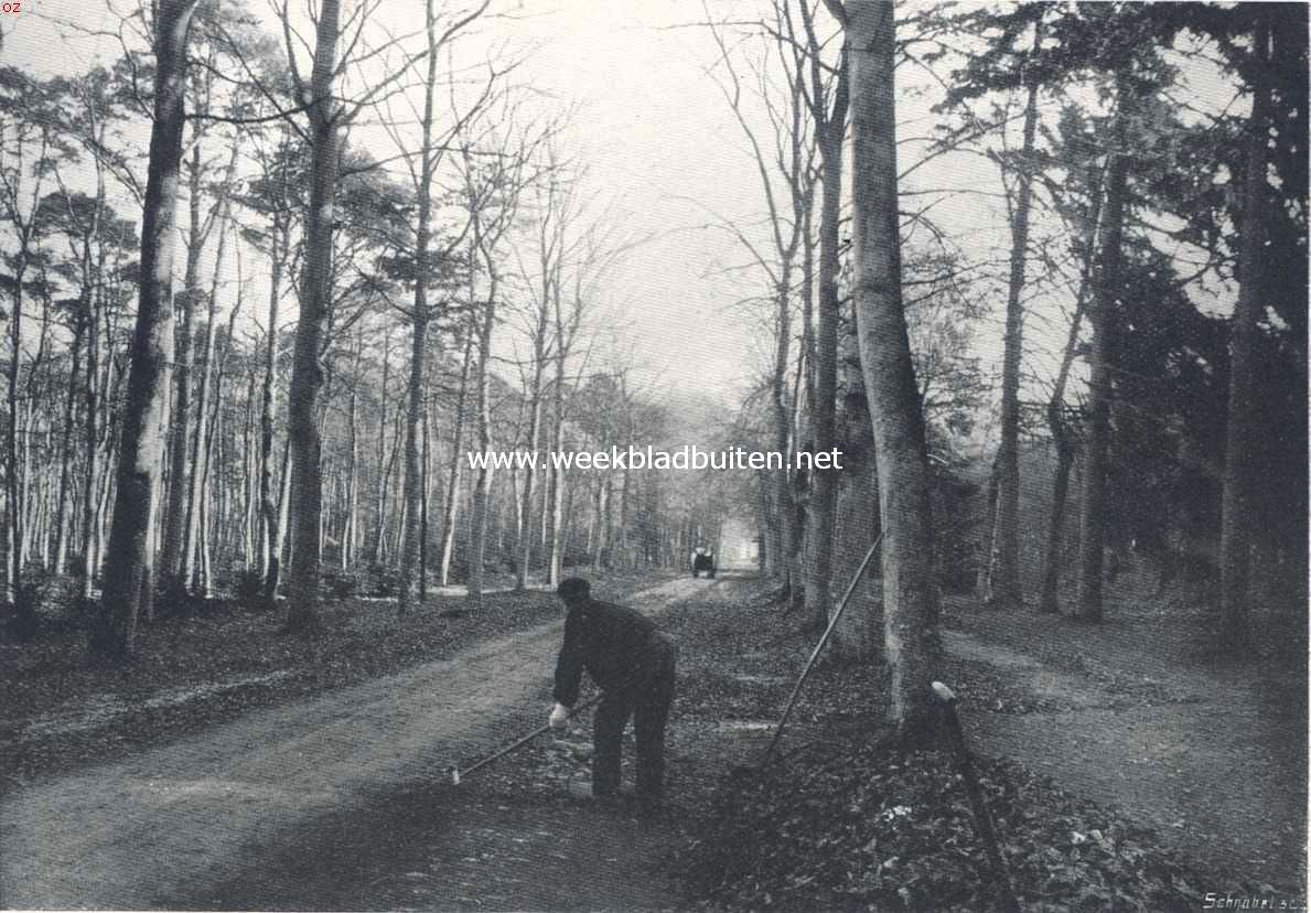 De camera in den herfst. De hoofdallee van het bosch van Bredius te Bussum