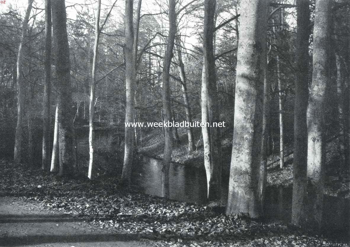De camera in den herfst. De vijver in het bosch