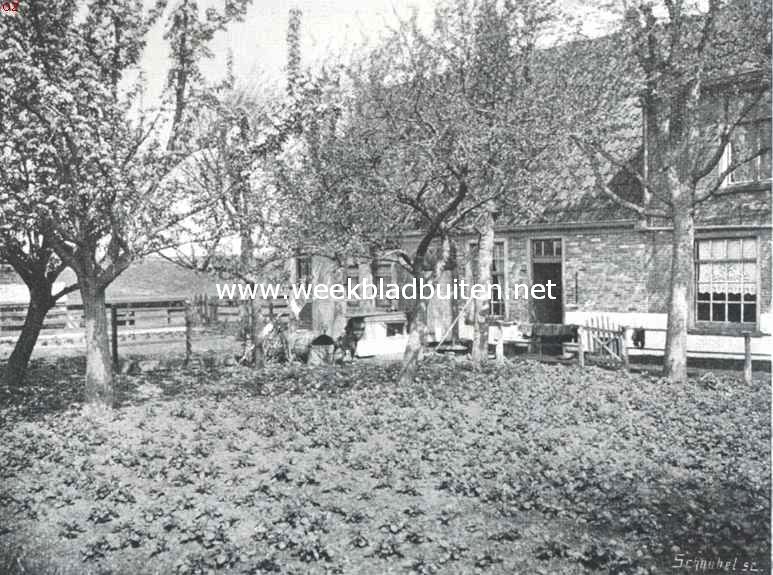De Westfriesche boerderij. Westfriesche boerderij, achterzijde