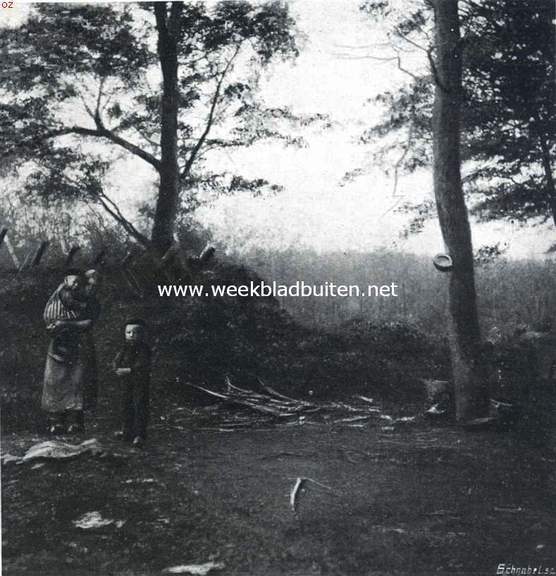Eikschillershut