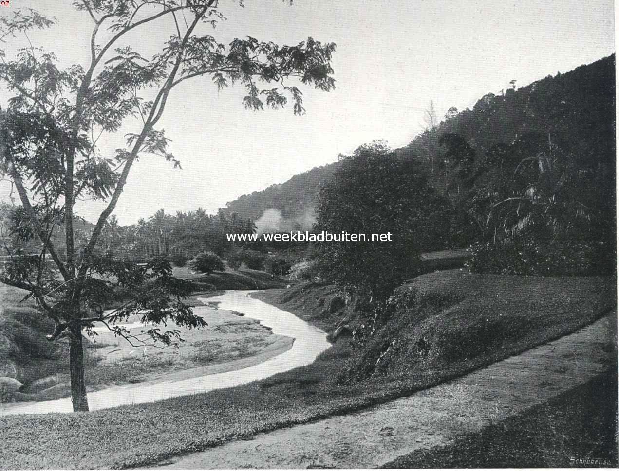 Penang. De botanische tuinen